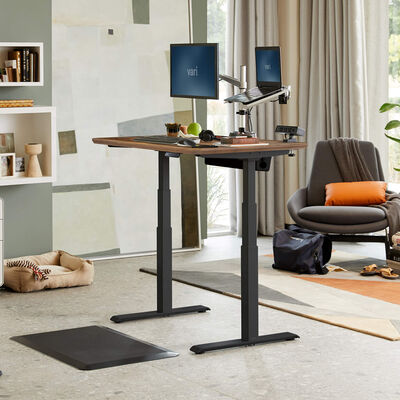 Electric Standing Desk 48x30