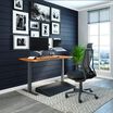 Office setup includes the Electric Standing Desk 48x30, task chair with headrest and accessories.