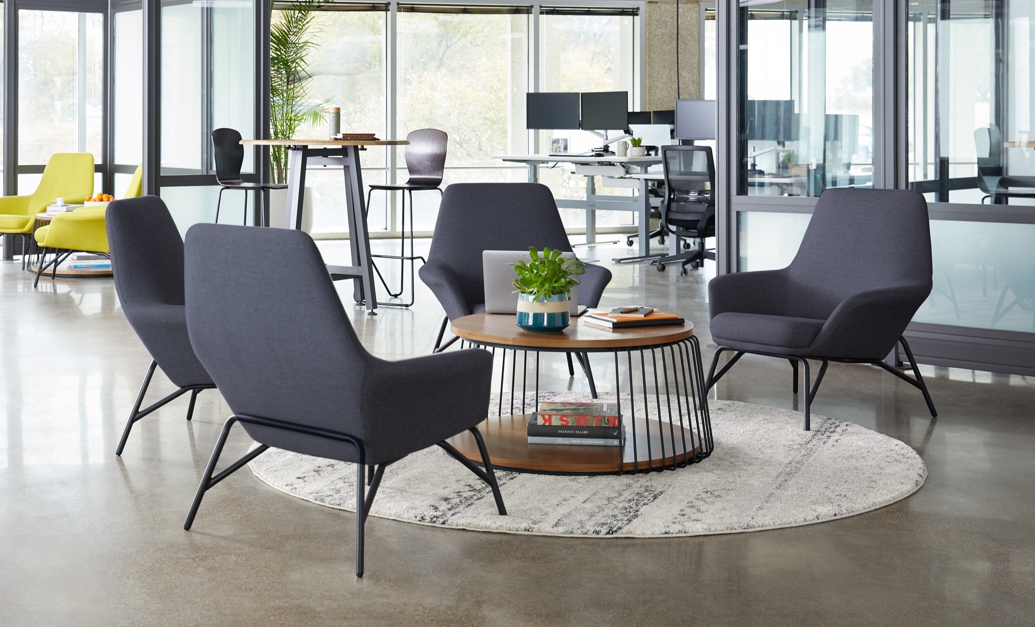 two chairs in navy are positioned around a coffee table